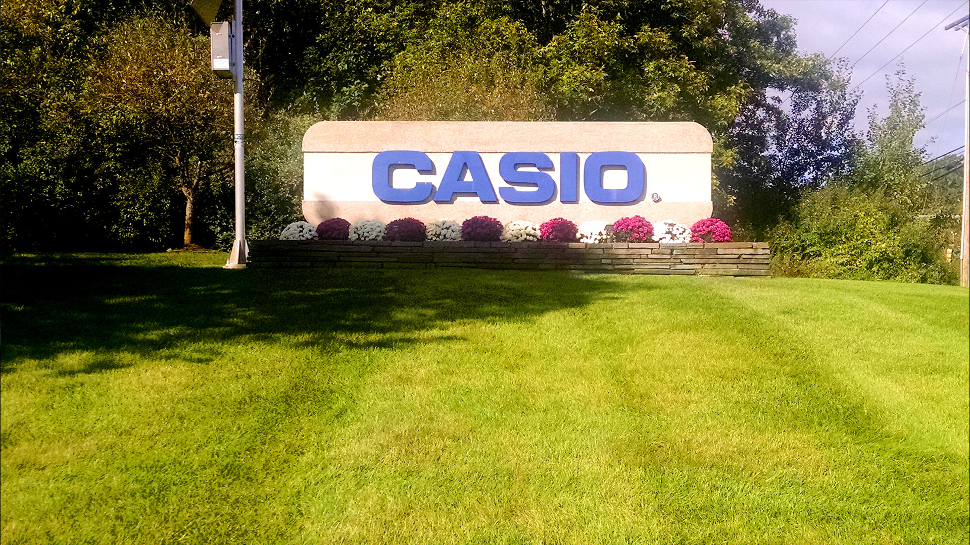Commercial Services. Casio